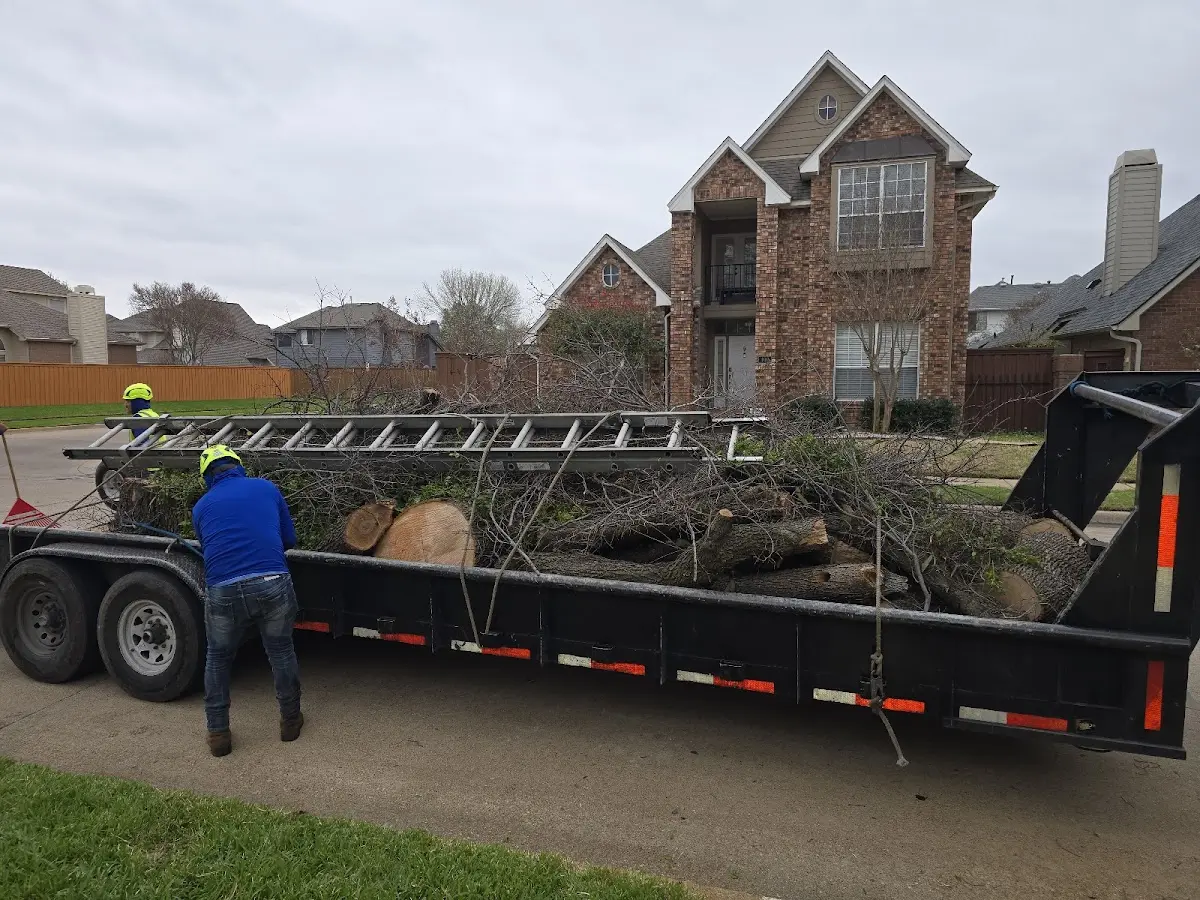 Expert Lot Clearing with proper safety equipment in Pomerene